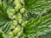 20220330_145415_resized