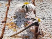 20220326_151907_resized