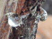 20211121_092720_resized