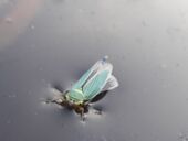 20200918_180345_resized