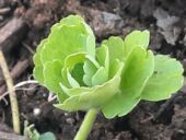 20220319_150415_resized