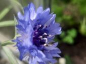 20210928_133206_resized