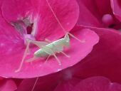 20210719_195150_resized