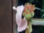 20210929_152629_resized