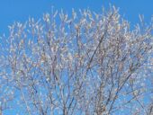 20220227_105806_resized