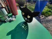 20220328_151641_resized