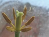 20220221_085536_resized