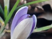 20220213_144250_resized