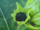 20210923_163911_resized