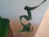 20220313_115800_resized