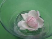 20210706_164459_resized