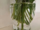 20220205_120451_resized